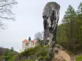 Imponujący skalny grzyb obok zamku na Jurze Krakowsko-Częstochowskiej.