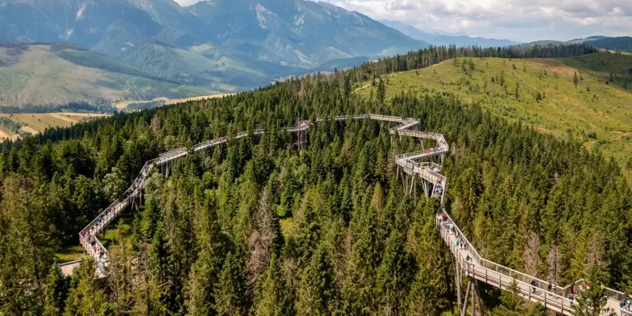 Ścieżka w koronach drzew w Bachledce to jedna z głównych słowackich atrakcji. Spacer po niej oferuje widoki na Tatry i malownicze lasy.