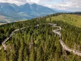Ścieżka w koronach drzew w Bachledce to jedna z głównych słowackich atrakcji. Spacer po niej oferuje widoki na Tatry i malownicze lasy.