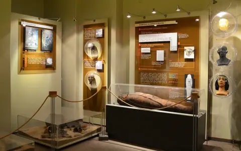 W muzeum człowieka we Wrocławiu zobaczysz mumię egipską, artefakty i rekonstrukcje czaszek.