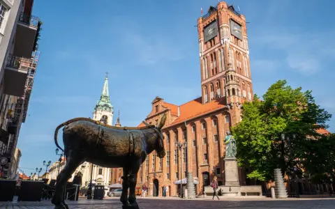 Pomnik osiołka i Ratusz Staromiejski – to jedne z głównych atrakcji, które warto zobaczyć w Toruniu.
