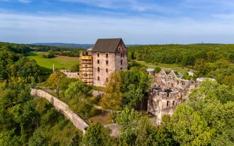 Zamek Świny, częściowo odrestaurowany, góruje nad zielonym krajobrazem. Ruiny zamku i otaczający las tworzą malowniczą scenerię.