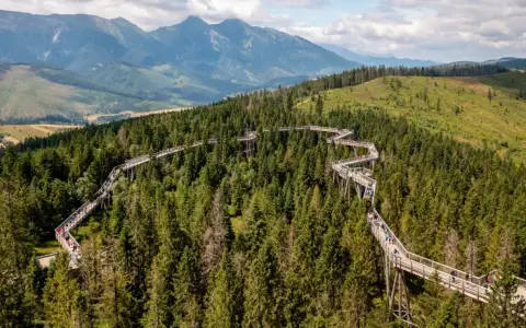 Ścieżka w koronach drzew w Bachledce to jedna z głównych słowackich atrakcji. Spacer po niej oferuje widoki na Tatry i malownicze lasy.