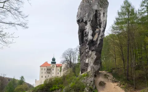 Imponujący skalny grzyb obok zamku na Jurze Krakowsko-Częstochowskiej.