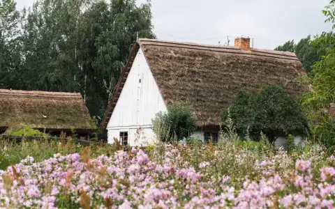 Skansen kujawsko pomorski: białe chaty z krytymi strzechą dachami, otoczone kwitnącym ogrodem.