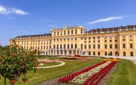 Schönbrunn w Wiedniu, z kwitnącym krzewem w pierwszym planie i barwnymi rabatami kwiatowymi. Idealne miejsce, by zobaczyć w Wiedniu!
