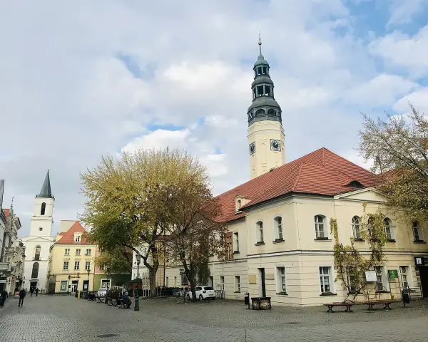 Zielona Góra rynek z ratuszem i wieżą zegarową. W tle kościół i kamienice.
