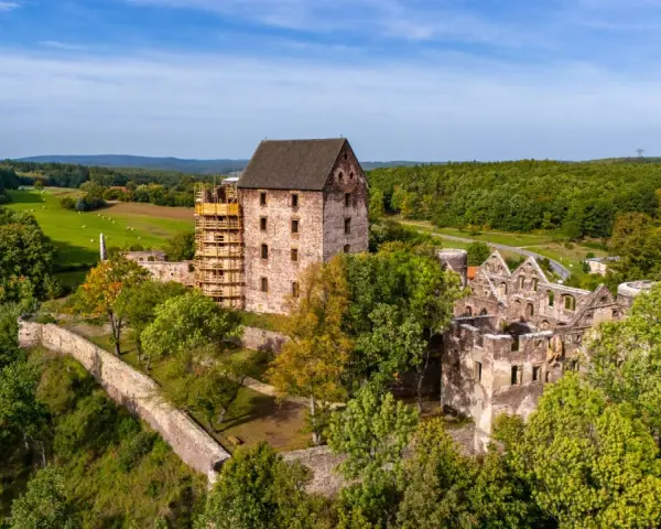 Zamek Świny, częściowo odrestaurowany, góruje nad zielonym krajobrazem. Ruiny zamku i otaczający las tworzą malowniczą scenerię.