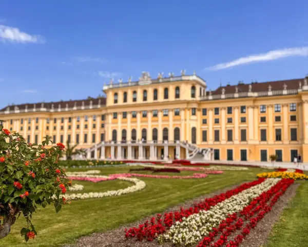 Schönbrunn w Wiedniu, z kwitnącym krzewem w pierwszym planie i barwnymi rabatami kwiatowymi. Idealne miejsce, by zobaczyć w Wiedniu!