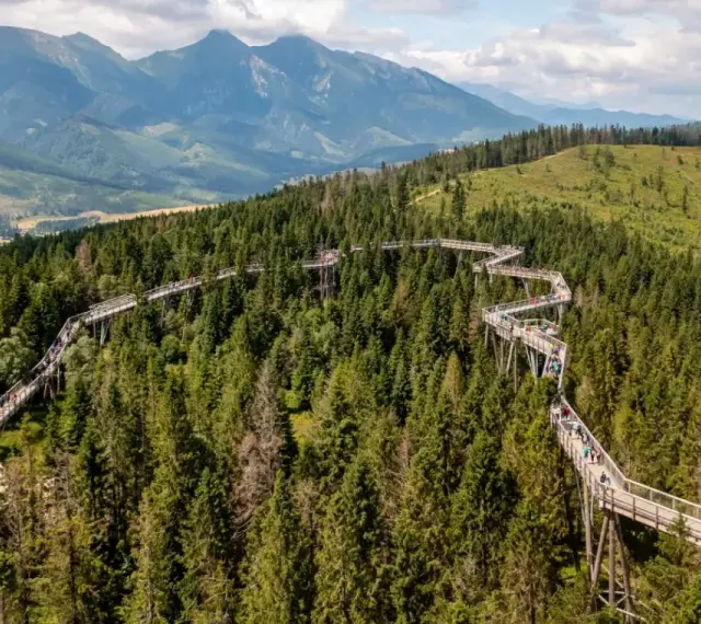 Ścieżka w koronach drzew w Bachledce to jedna z głównych słowackich atrakcji. Spacer po niej oferuje widoki na Tatry i malownicze lasy.