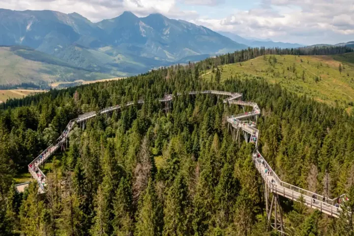 Ścieżka w koronach drzew w Bachledce to jedna z głównych słowackich atrakcji. Spacer po niej oferuje widoki na Tatry i malownicze lasy.
