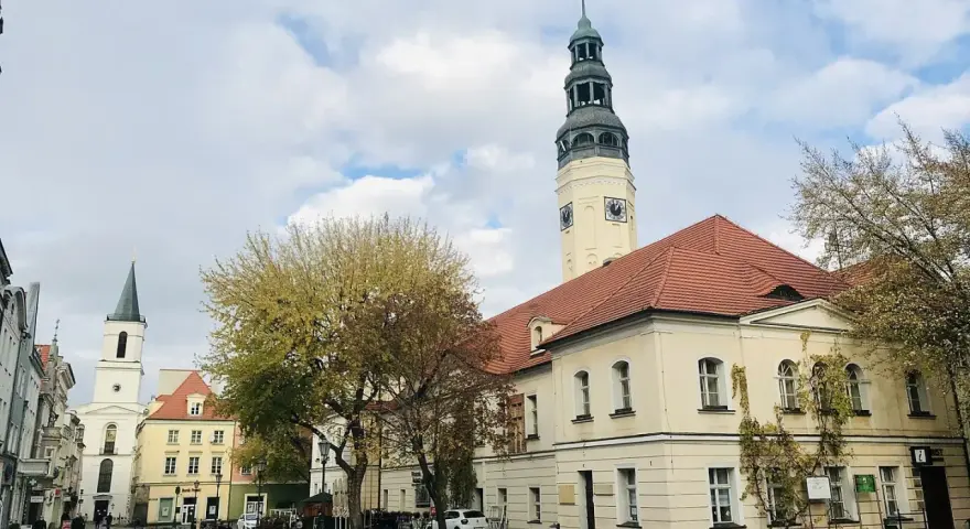 Zielona Góra rynek z ratuszem i wieżą zegarową. W tle kościół i kamienice.