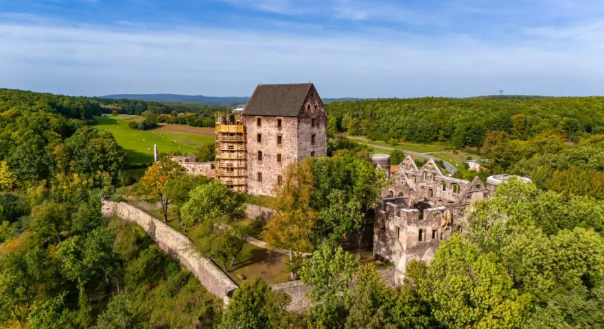 Zamek Świny, częściowo odrestaurowany, góruje nad zielonym krajobrazem. Ruiny zamku i otaczający las tworzą malowniczą scenerię.