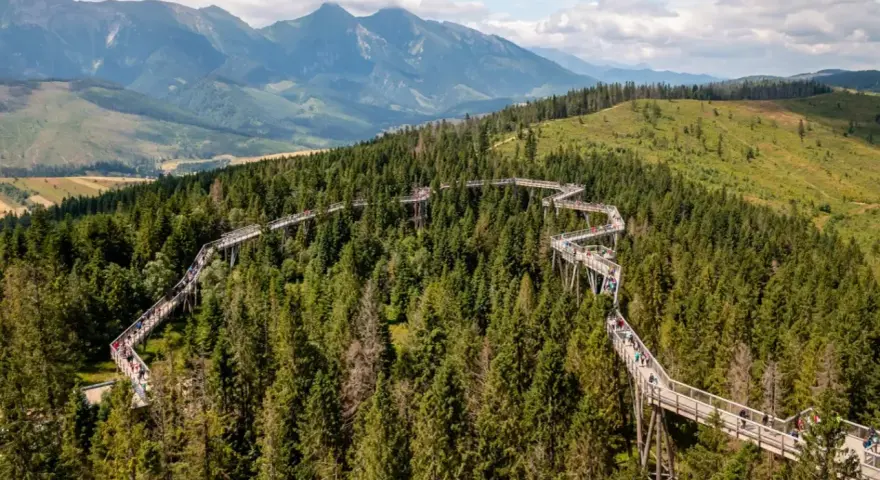 Ścieżka w koronach drzew w Bachledce to jedna z głównych słowackich atrakcji. Spacer po niej oferuje widoki na Tatry i malownicze lasy.