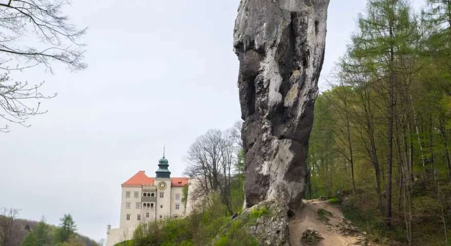Imponujący skalny grzyb obok zamku na Jurze Krakowsko-Częstochowskiej.