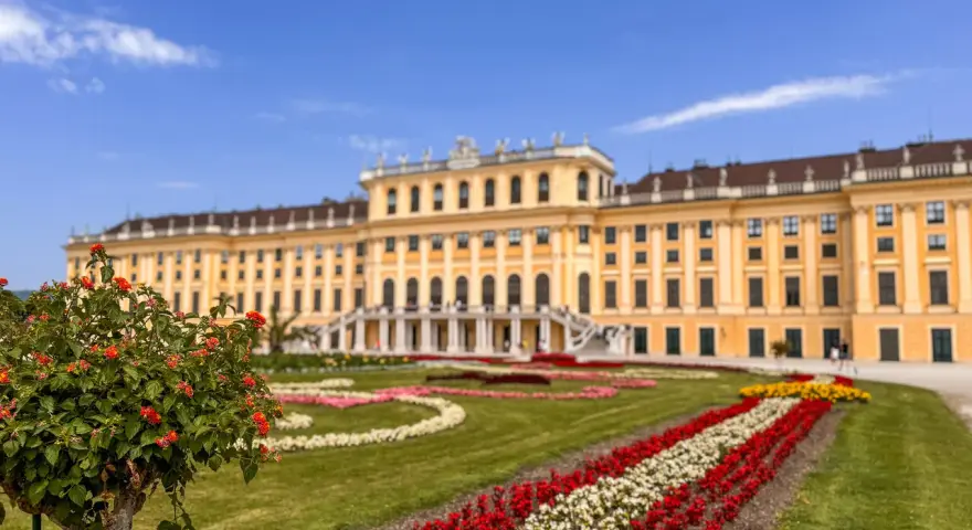 Schönbrunn w Wiedniu, z kwitnącym krzewem w pierwszym planie i barwnymi rabatami kwiatowymi. Idealne miejsce, by zobaczyć w Wiedniu!