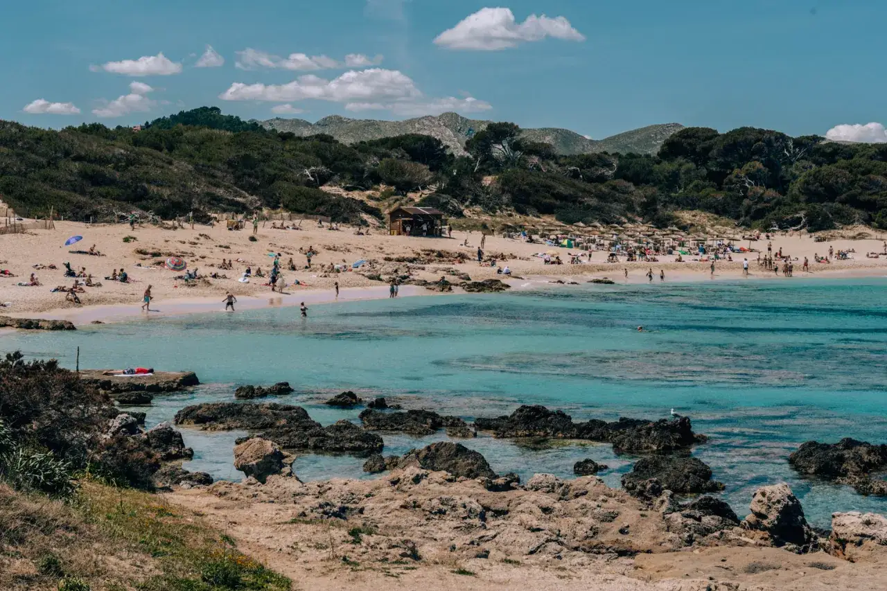 Słoneczny dzień na plaży Cal&oacute; des Moro. Tłumy ludzi odpoczywają na piasku i kąpią się w turkusowej wodzie.