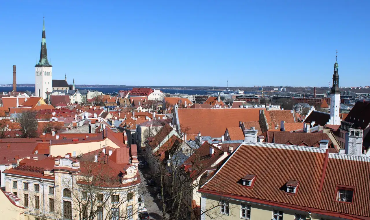 Widok na Tallin stare miasto z charakterystycznymi czerwonymi dachami i wieżami kościoł&oacute;w na tle błękitnego nieba.