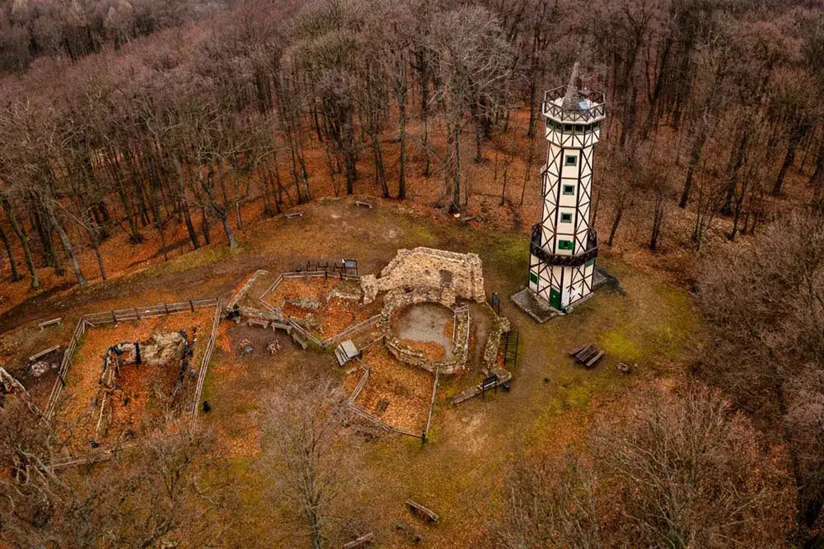 Gromnik wieża widokowa g&oacute;ruje nad jesiennym lasem, obok ruin zamku.