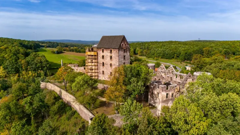 Zamek Świny, częściowo odrestaurowany, góruje nad zielonym krajobrazem. Ruiny zamku i otaczający las tworzą malowniczą scenerię.